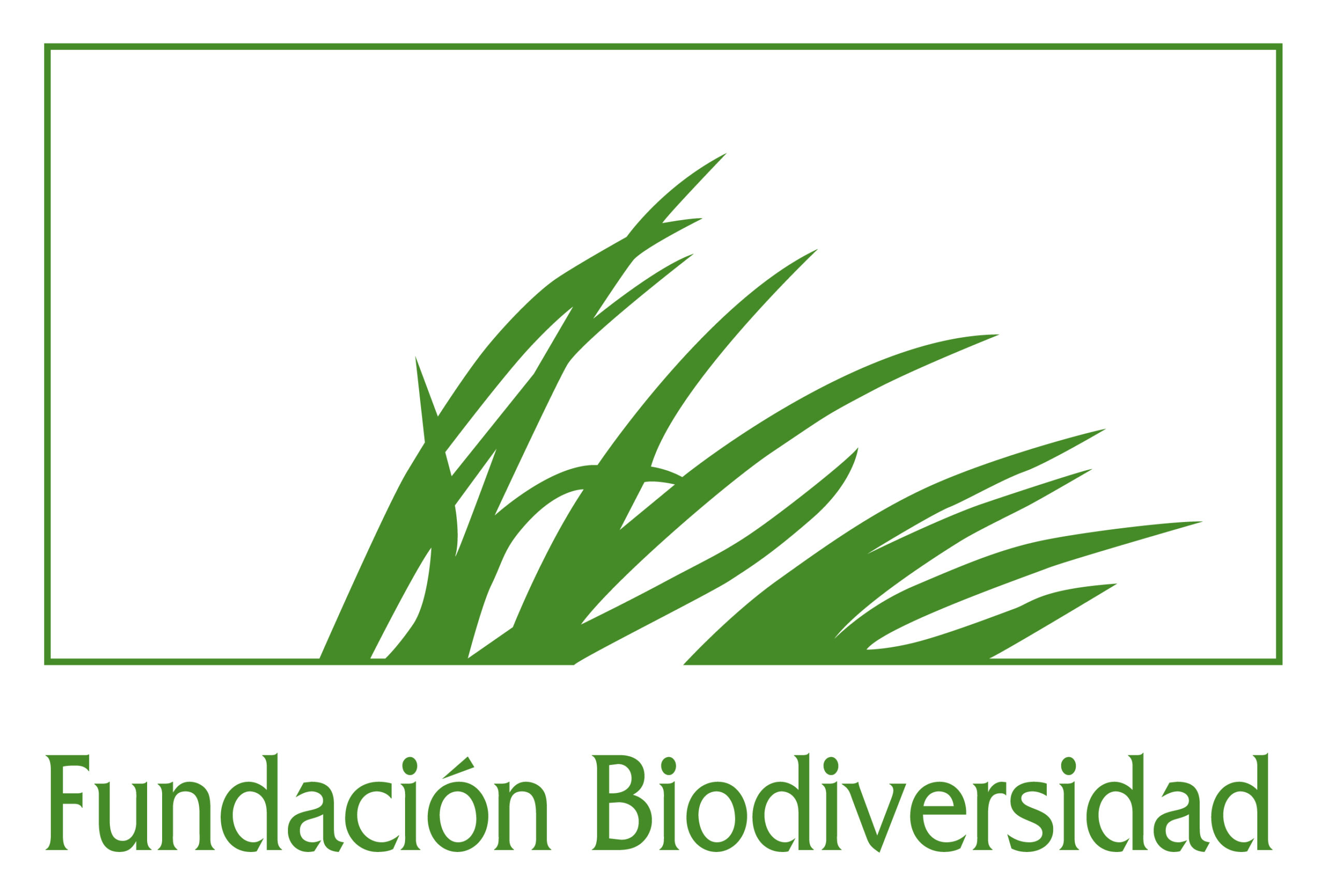 Fundación Biodiversidad lanza becas para impulsar la empleabilidad en sostenibilidad y lucha contra el cambio climático