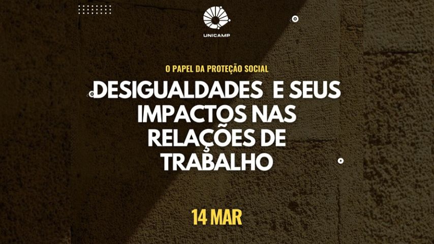 Seminário: Desigualdades e seus impactos nas relações de trabalho: o papel da proteção social