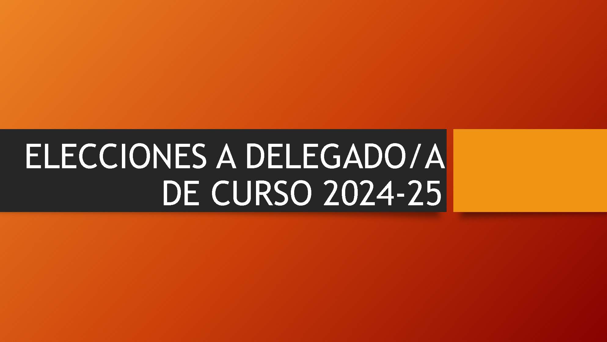 elecciones delegado/a curso