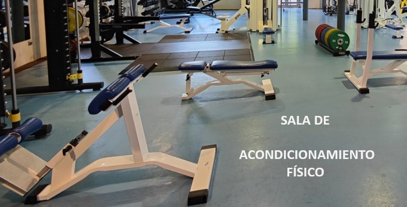 gimnasio