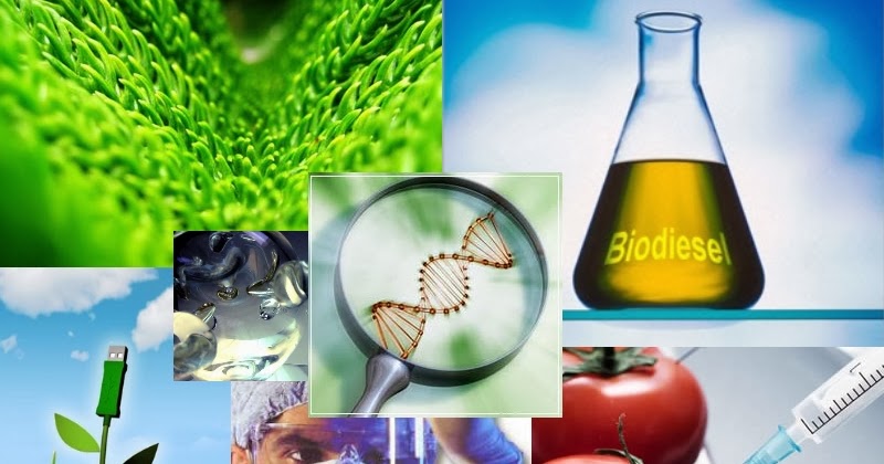 DOBLE TITULO GRADO EN INGENIERIA AGRÍCOLA Y AGROALIMENTARIA Y GRADO EN BIOTECNOLOGÍA