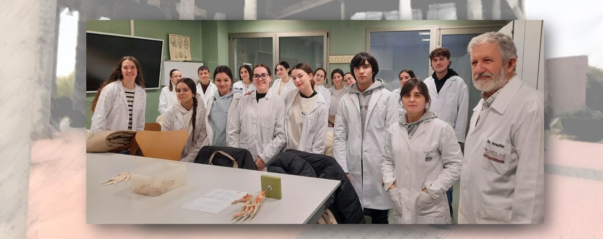 Nuestro alumnado de primer curso aprende Anatomía Humana en las salas de disección de la Facultad de Medicina de Albacete