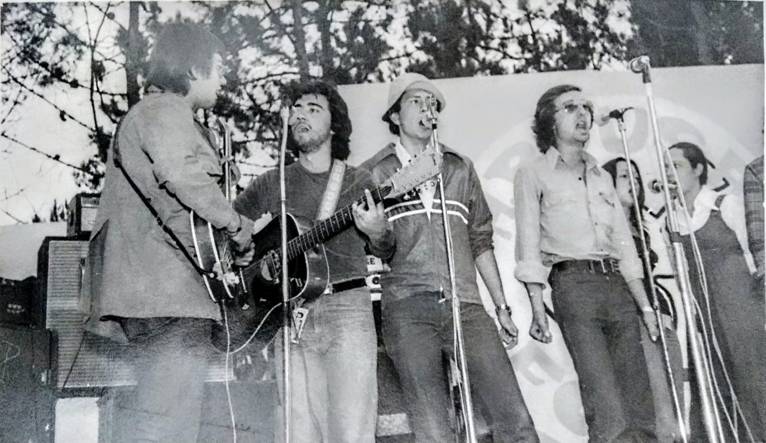 Grupo musical Mesnadas