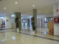 Patio interior
