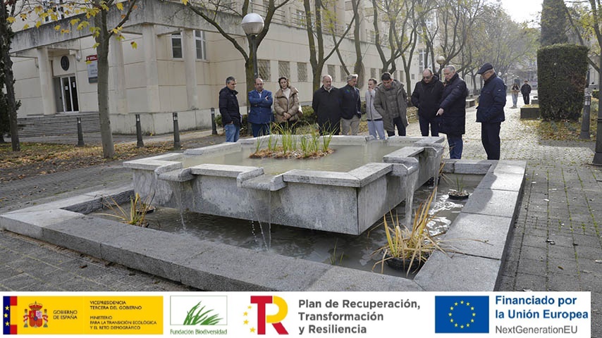 Actuaciones de renaturalización y resiliencia en el Campus de Ciudad Real.