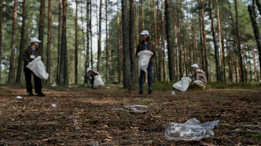 Cuatro personas recogen basura de un bosque