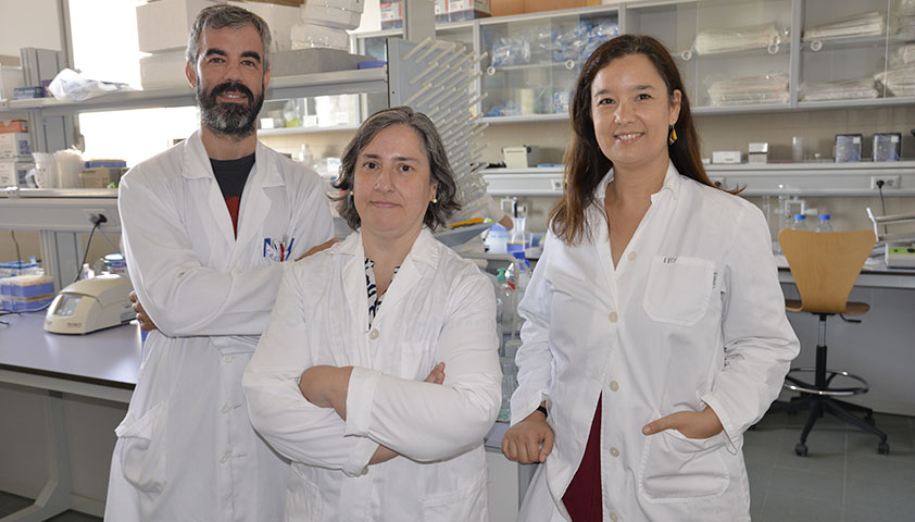 Estudio de investigación sobre qué ocurre en el cerebro al combinar el consumo de alcohol y cocaína.