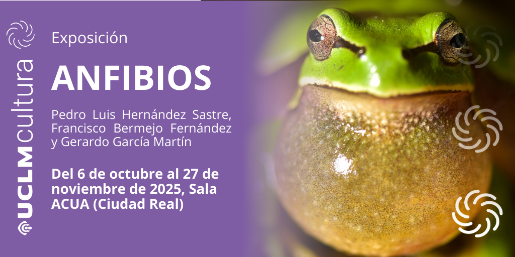 Cartel exposición Anfibios